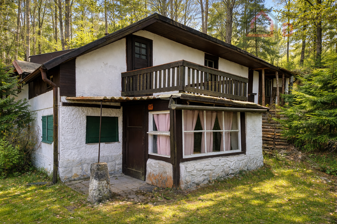 tn_zoom_filename_3642